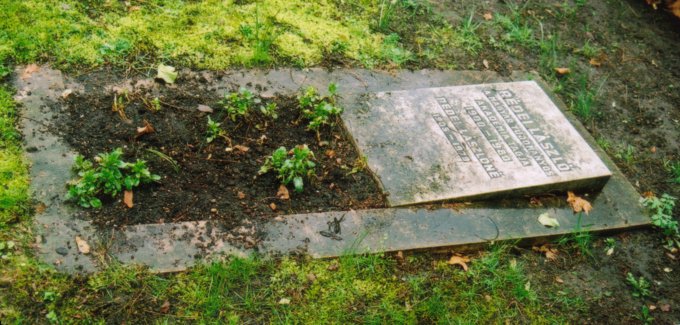 Grab von L. Redei /
Grave of L. Redei
